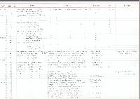 Sphaerium simile image