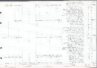 Cochlicopa lubrica image