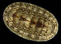 Chiton tuberculatus image